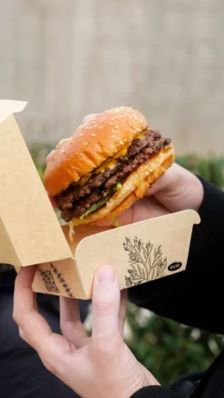 Alga Clamshell-Box 500 ml Braun ungeteilt