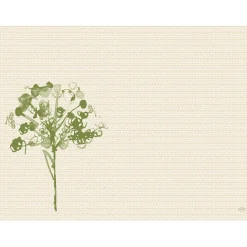 Bio Dunicel®-Tischset 30 x 40 cm Green Umbles