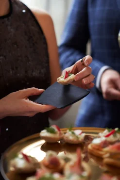 Bio Dunisoft® Serviette 20 x 20 cm Braun