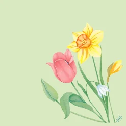 Bio Dunisoft® Serviette 40 x 40 cm Spring Melody