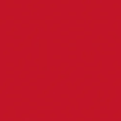 Bio Dunisoft® Serviette 40 x 40 cm Rot