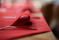 Bio Dunisoft® Serviette 40 x 40 cm Stargazing Red