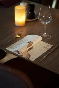 Bio Dunisoft® Serviette 40 x 40 cm Wood & Goose