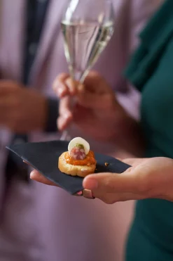 Bio Dunisoft® Serviette 20 x 20 cm Schwarz