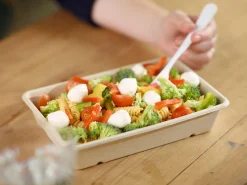 Box Bagasse 1200 ml Braun ungeteilt