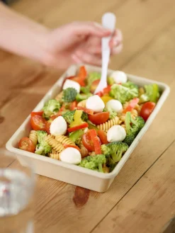 Box Bagasse 850 ml Braun ungeteilt