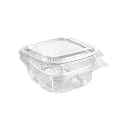 Deli Hinged 250 ml Transparent ungeteilt
