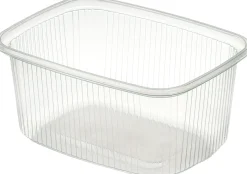 Delipack rechteckig 250 ml Transparent ungeteilt