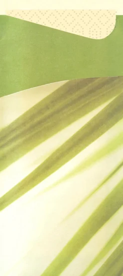 Duni Sacchetto®, Serviettentaschen, Tissue 8,5 x 19 cm Bamboo