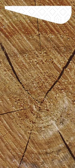 Duni Sacchetto®, Serviettentaschen, Tissue 8,5 x 19 cm wood
