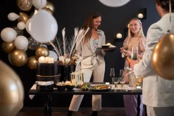 Dunicel® 3 in 1 0,4 x 4,8 m Festive Bubbles Black