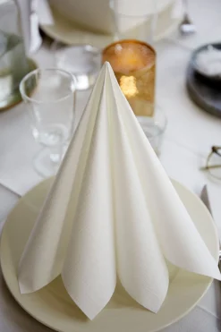 Dunilin®-Serviette 40 x 40 cm Cream