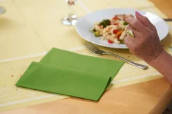 Dunilin®-Serviette 40 x 40 cm Leaf Green