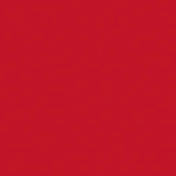 Dunilin®-Serviette 48 x 48 cm Rot