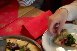 Dunilin®-Serviette 40 x 40 cm Stargazing Red