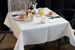 Dunilin®-Serviette 48 x 48 cm Weiß