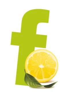 Erfrischungstücher 7,1 x 5,1 cm Fresh Green