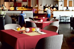 Evolin®-Tischdecke 127 x 127 cm Bordeaux