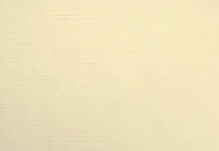 Evolin®-Tischset 30 x 43,5 cm Cream