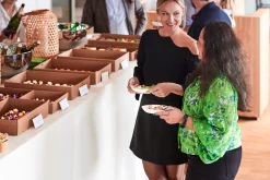 Glance Catering Lid Large 455 x 313 x 30 mm Braun