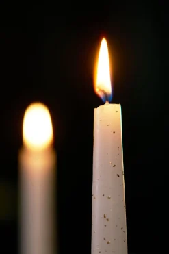 Leuchterkerzen 240 x Ø 22 mm 7,5 Std. Weiß