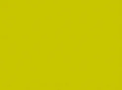 Papier-Tischset 35 x 45 cm Kiwi