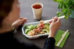 PP Schale Take-Away 250 x 159 x 43 mm Transparent ungeteilt