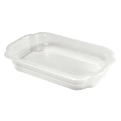 PP Schale Take-Away 250 x 159 x 43 mm Transparent ungeteilt