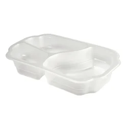 PP Schale Take-Away 250 x 159 x 48 mm Transparent 3-Teilung