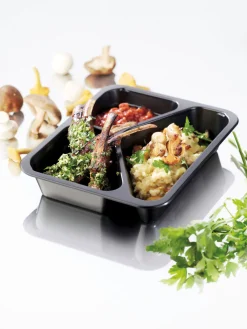 PP-Schale Caterline 227 x 178 x 40 mm Schwarz 3-Teilung