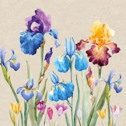 Recycling-Tissue Serviette 33 x 33 cm Iris 2-lagig