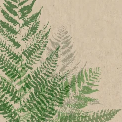 Recycling-Tissue Serviette 24 x 24 cm Farn 2-lagig