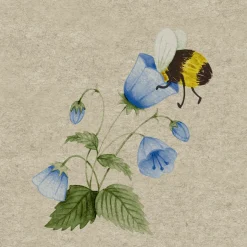 Recycling-Tissue Serviette 24 x 24 cm Bee Flowerfull 2-lagig