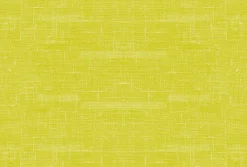 Silikon-Tischset 30 x 45 cm Kiwi