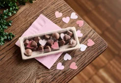 Sushi Box Slim Long Braun