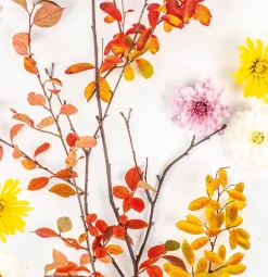 Tissue-Serviette 33 x 33 cm Autumn Branch 3-lagig