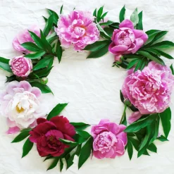 Tissue-Serviette 33 x 33 cm Blossom wreath 3-lagig