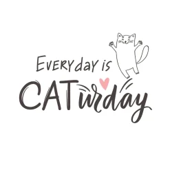 Tissue-Serviette 33 x 33 cm Caturday 3-lagig