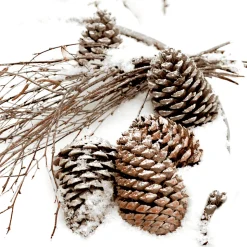 Tissue-Serviette 33 x 33 cm Cones In Snow 3-lagig