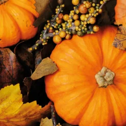 Tissue-Serviette 33 x 33 cm Fall Pumpkins 3-lagig