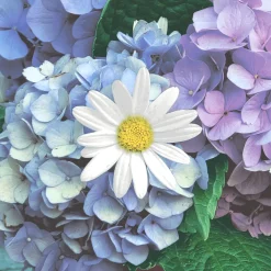 Tissue-Serviette 33 x 33 cm Floral cascade 3-lagig