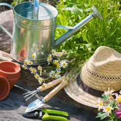 Tissue-Serviette 33 x 33 cm Gardencraft 3-lagig