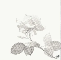 Tissue-Serviette 33 x 33 cm Grey Rose 3-lagig