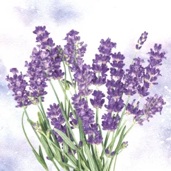 Tissue-Serviette 33 x 33 cm Lavender oasis 3-lagig