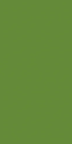 Tissue-Serviette 33 x 33 cm Leaf Green 3-lagig