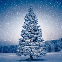 Tissue-Serviette 33 x 33 cm Magic Tree 3-lagig