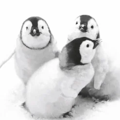 Tissue-Serviette 33 x 33 cm Penguin Friends 3-lagig