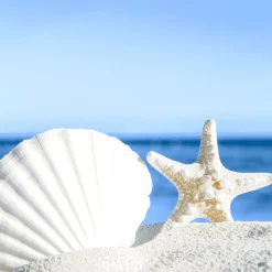 Tissue-Serviette 33 x 33 cm Shells by the sea 3-lagig