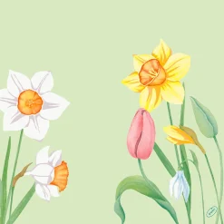 Tissue-Serviette 40 x 40 cm Spring Melody