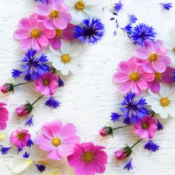 Tissue-Serviette 33 x 33 cm Summer Florals 3-lagig